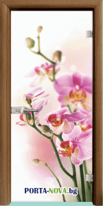 Стъклена интериорна врата, Print G 13-2, каса цвят Златен дъб