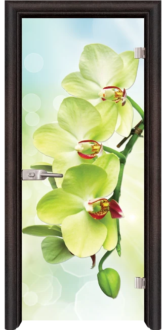 Стъклена Врата Standart Print G 13-3 Green Венге
