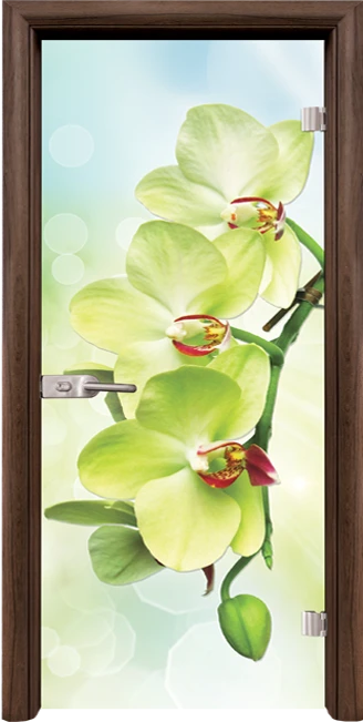 Стъклена Врата Standart Print G 13-3 Green Орех
