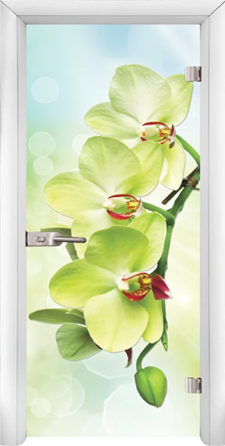 Стъклена Врата Standart Print G 13-3 Green Бял
